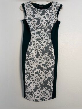 Enfocus Studio Womens Sz 6 Sheath Dress Green/White Floral Lace Panel Cap Sleeve